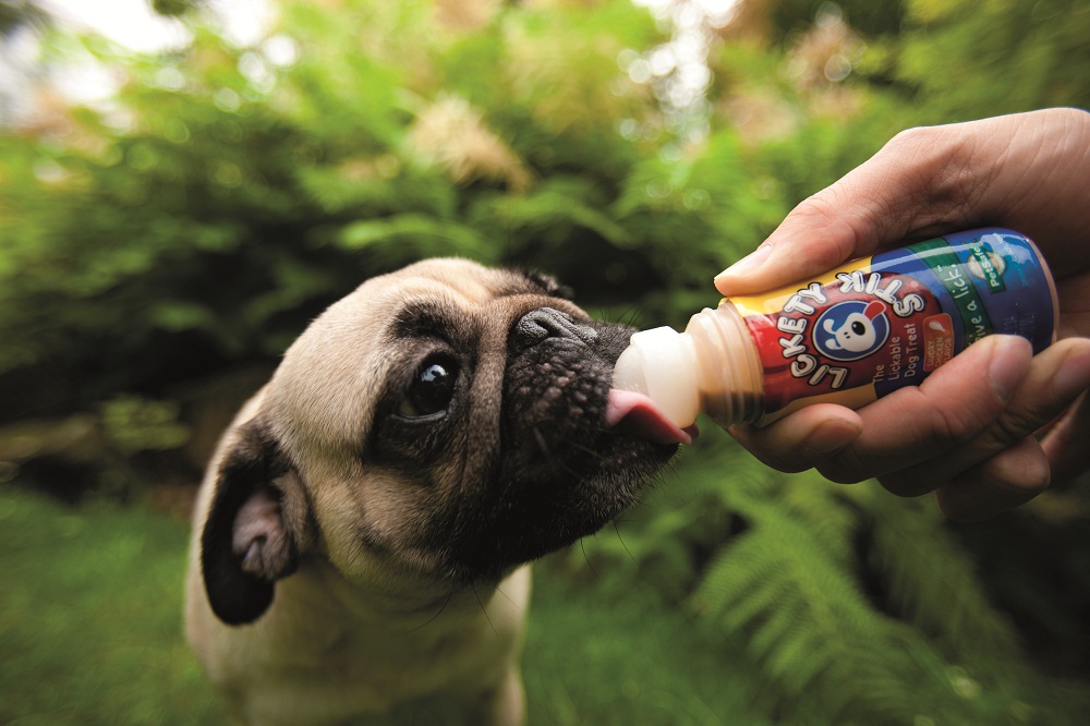 Lickity stick for dogs best sale