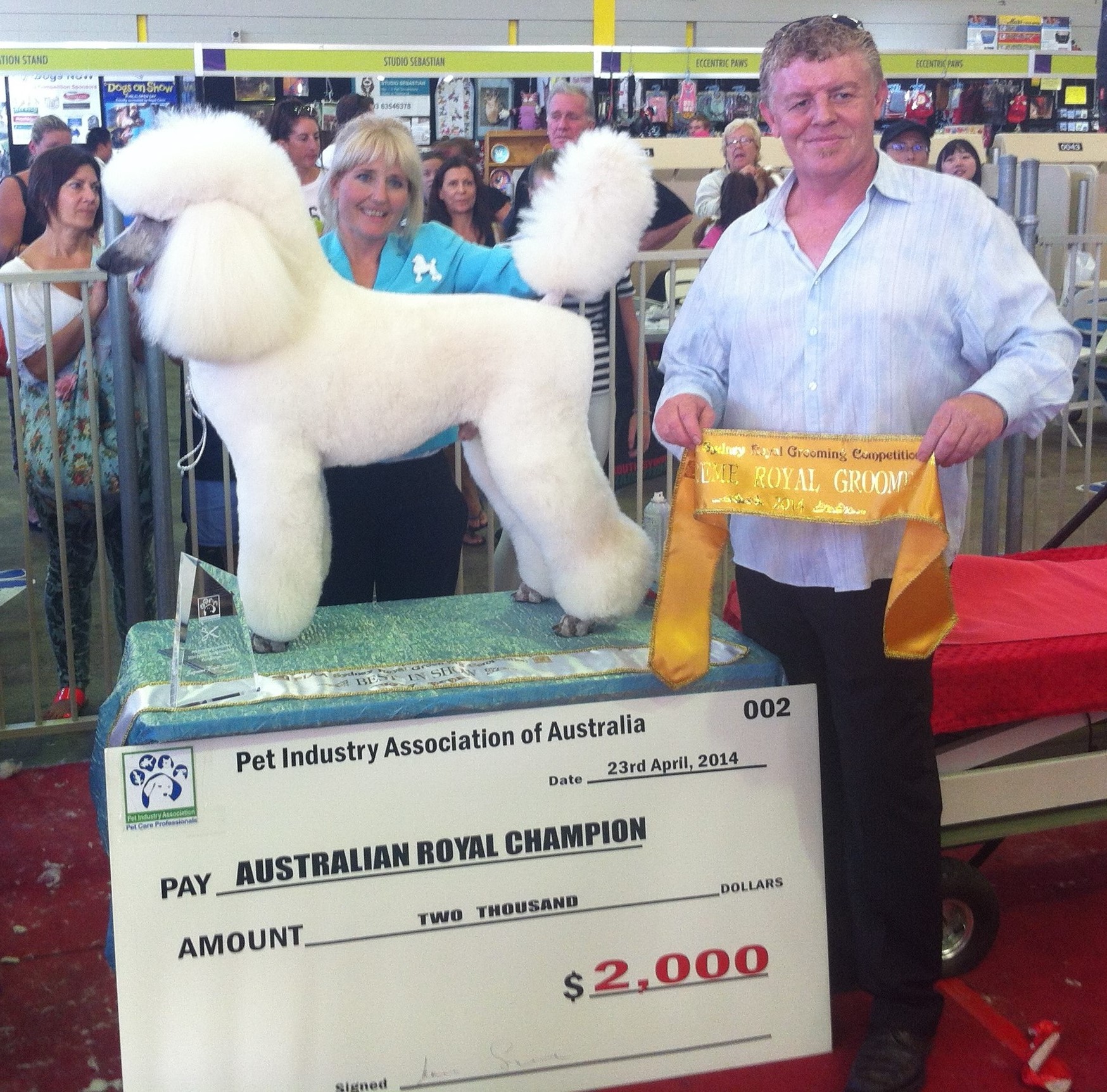 best in show dog grooming