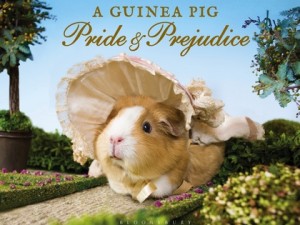 A Guinea Pig Pride & Prejudice