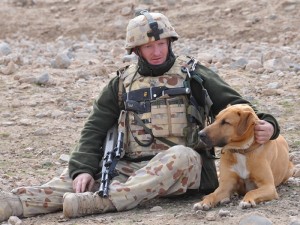 ANZAC Day: Dogs of War