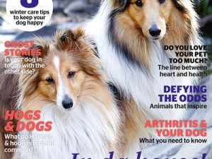 138-DOGSLife-cover