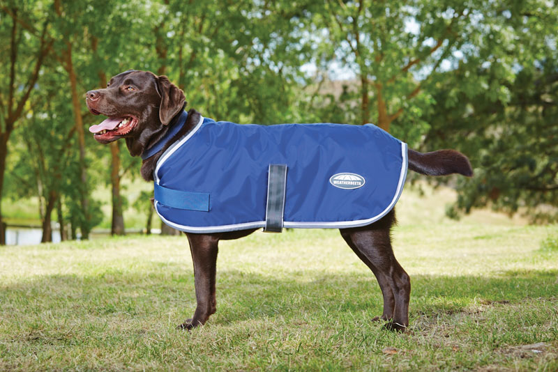 Weatherbeeta Windbreaker Dog Coats - Dogslife. Dog Breeds Magazine