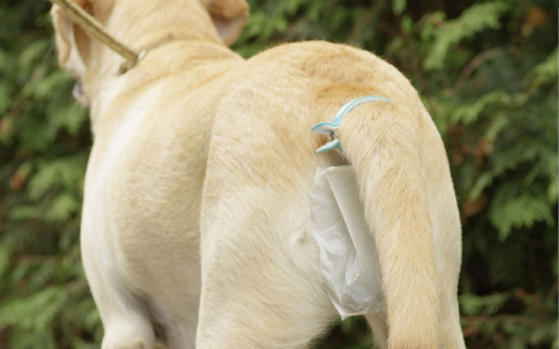 Dog poop hotsell bag on tail