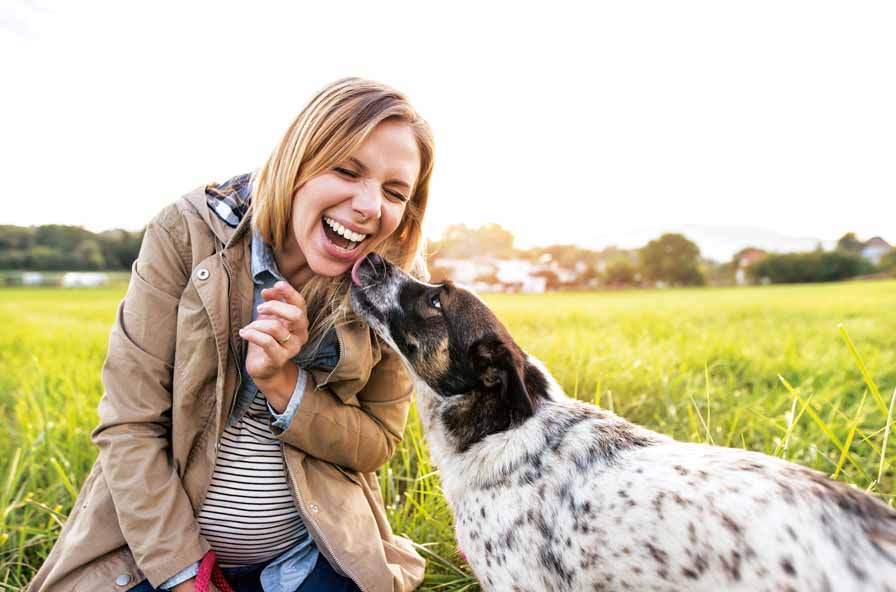 Overenthusiastic Greeting Is Your Dog Too Excited Dogslife Dog Breeds Magazine