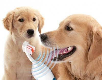 ultrasonic toothbrush for dogs